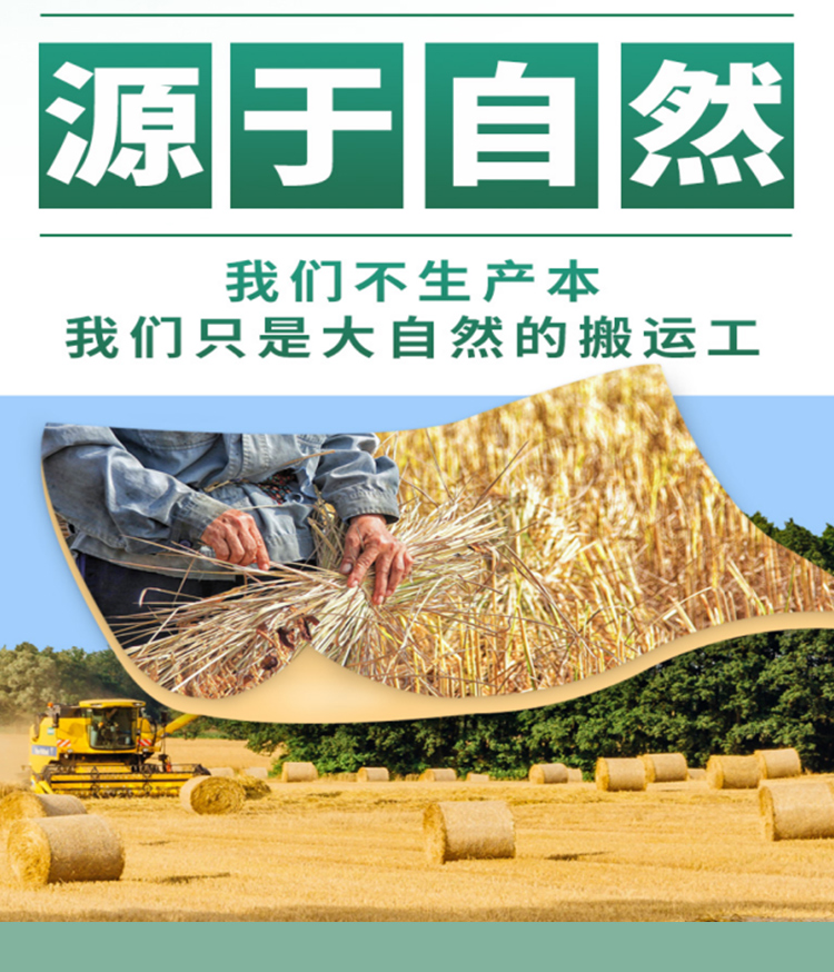 XH軟抄32開-440本辦公60型